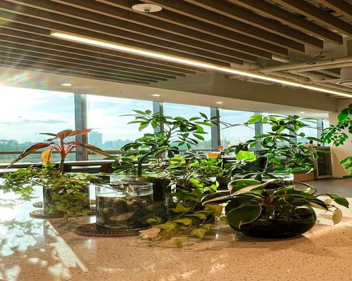 Detalle de libretas y plantas en la oficina