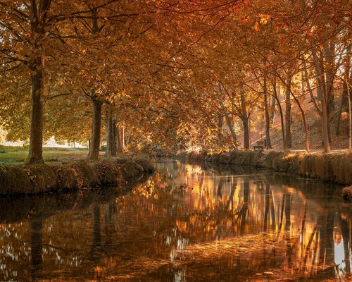 Persona leyendo un libro tranquilamente en la sala de su casa, ilustrando el descanso